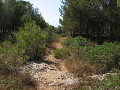 Cala Galdana