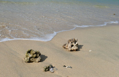 Chaves Beach, Boa Vista