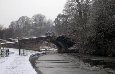Frozen Canal