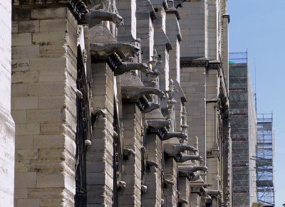 Gargoyles on Notre Dame Cathedral