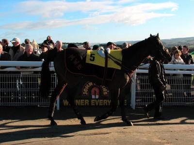 Parade Ring, Hexham Racecourse