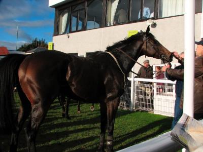 Hexham Racecourse