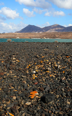 Edge of the Salt Extraction Lake
