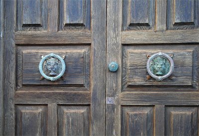 Lion Doors