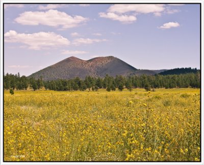 Sunset Crater National Monument