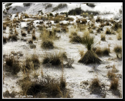 The Landscape