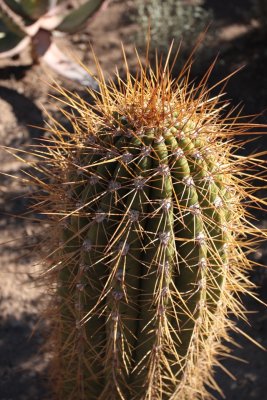 Other Arizona Sites