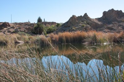 Boyce Thompson Arboretum