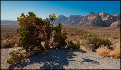 Red Rock Wash #2