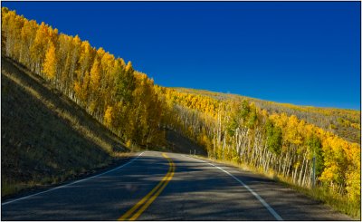 Highway 12 in Dixie National Forest