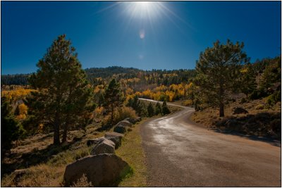 Dixie National Forest