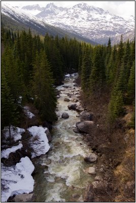 A Mountain Stream