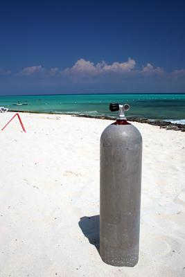 s800352_5285.jpg