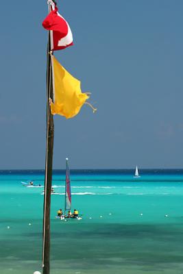 s800353_5371.jpg