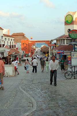 s800353_5391.jpg