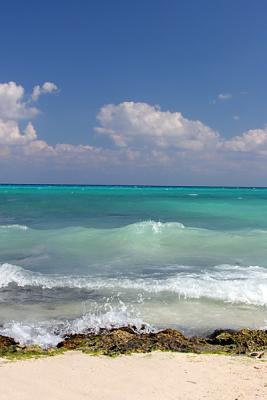 s800355_5589.jpg