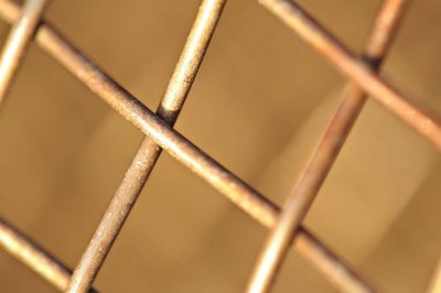 DSC_2556FxShweb.jpg