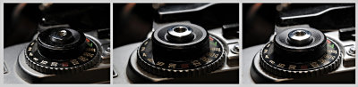 DSC_4126FxShweb.jpg