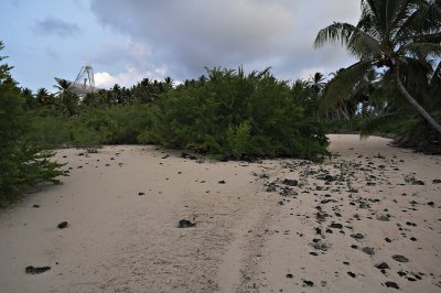 DSC_4722FxShweb.jpg
