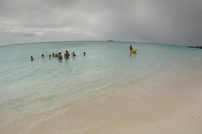 DSC_3349FxShWeb.jpg