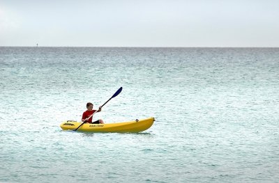 DSC_3397FxShWeb.jpg