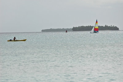 DSC_3491FxShWeb.jpg