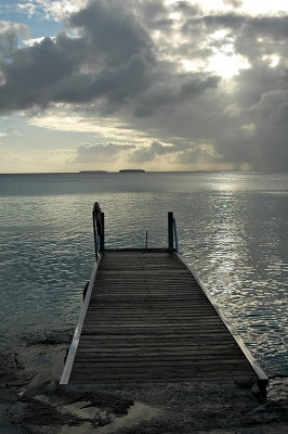 DSC_3545FxShWeb.jpg