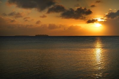 DSC_3593FxShWeb.jpg