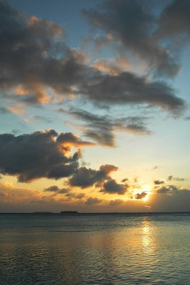 DSC_3597FxShWeb.jpg