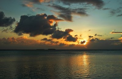 DSC_3598FxShWeb.jpg