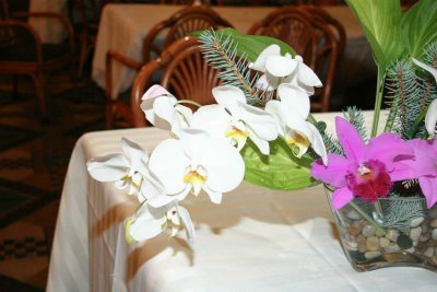 IMG_9216.jpg