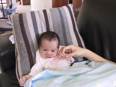 162-6246_IMG.JPG