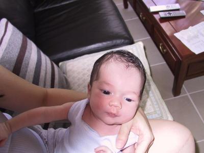 162-6290_IMG.JPG