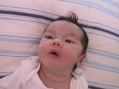 163-6355_IMG.JPG