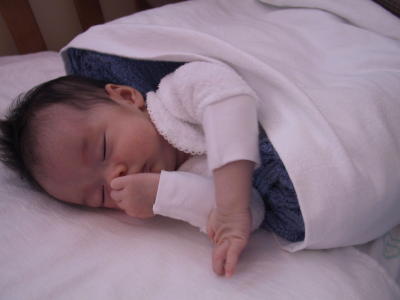 167-6738_IMG.JPG