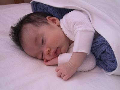 167-6739_IMG.JPG