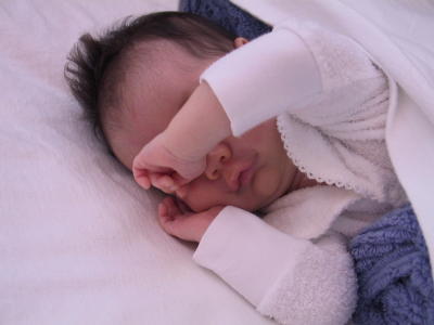167-6742_IMG.JPG