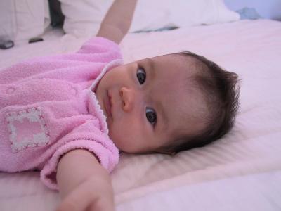 169-6901_IMG.JPG