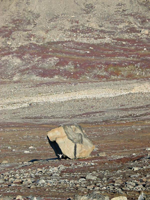 Paulo and his rock