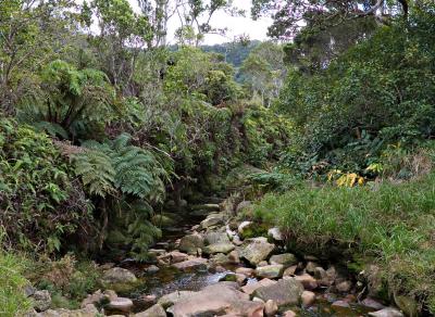 g3/03/391303/3/54922928.ph_5187Downstream.jpg