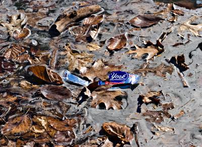 Scum and Trash