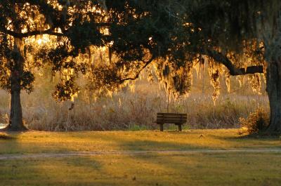 Bench_w.JPG