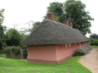 Older thatch, Thaxted
