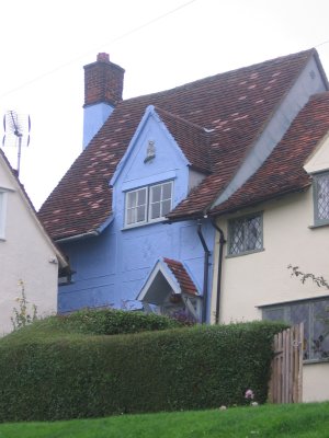 Blue house, finch