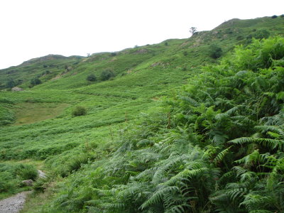 Walk, Rydal Water