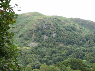 Picture 024.jpg