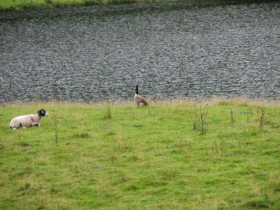 Walk, Rydal Water