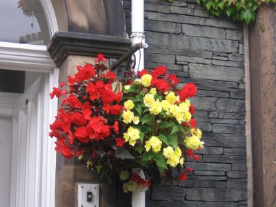 Vlowers at Ravensworth B&B