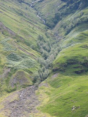 View between Callander and Ft. William