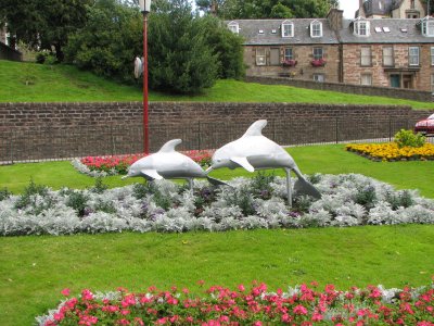 Floral arrangements Inverness